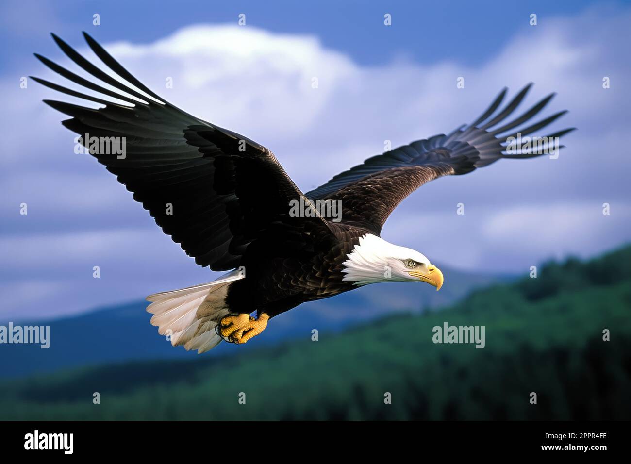 A majestic bald eagle soaring majestically through the air its wide