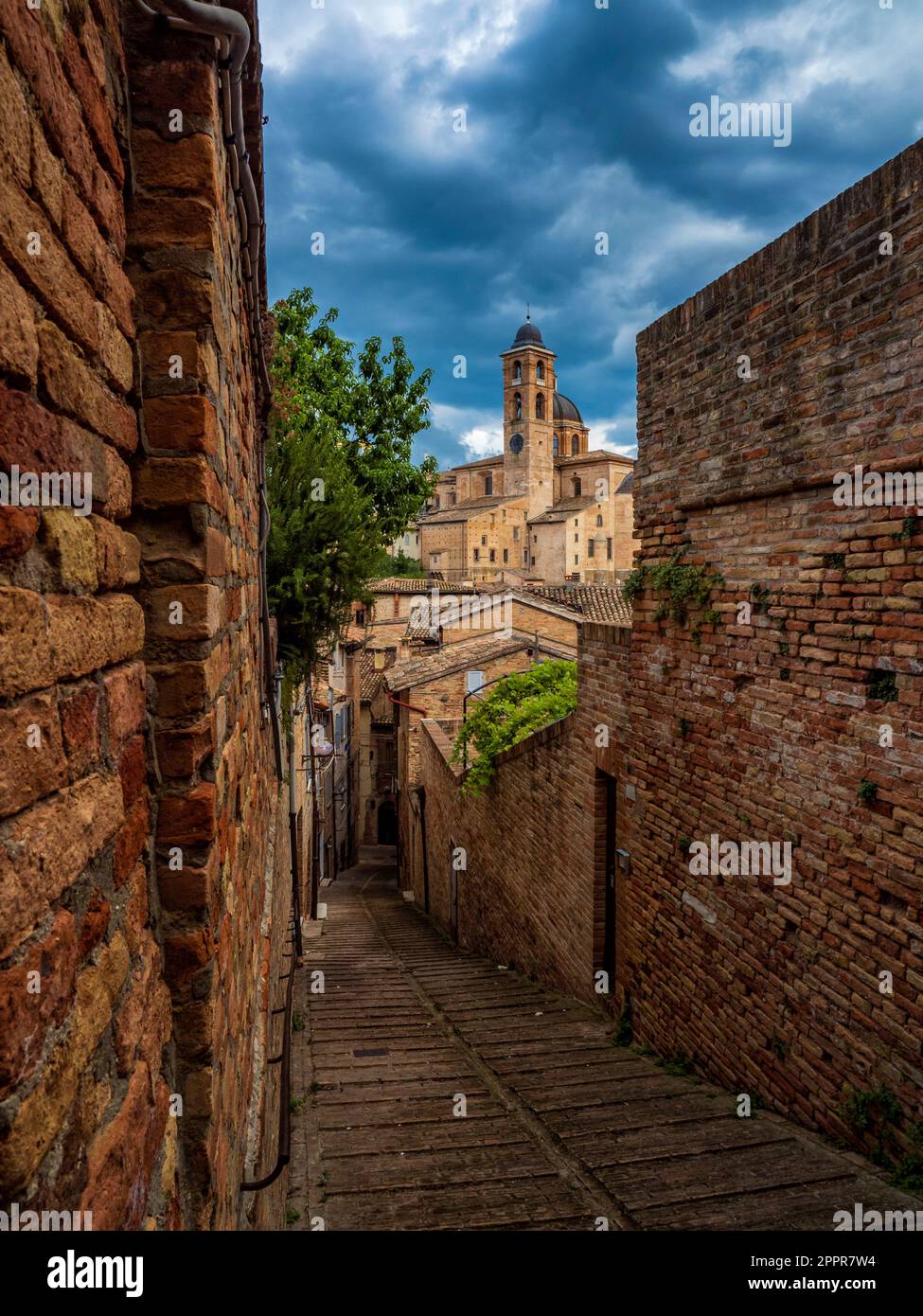 Urbino Cathedral, Marche, Italy, renaissance city unesco Stock Photo
