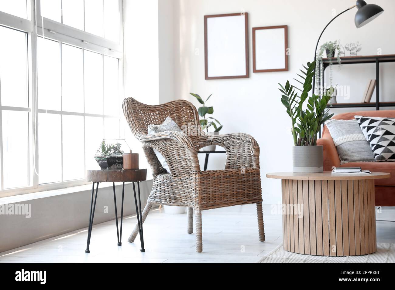 Interior of modern living room with cozy armchair and houseplant on ...
