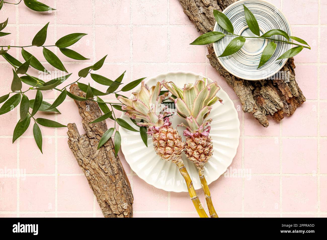 Plates with decorative pineapples, plant branches and tree barks on