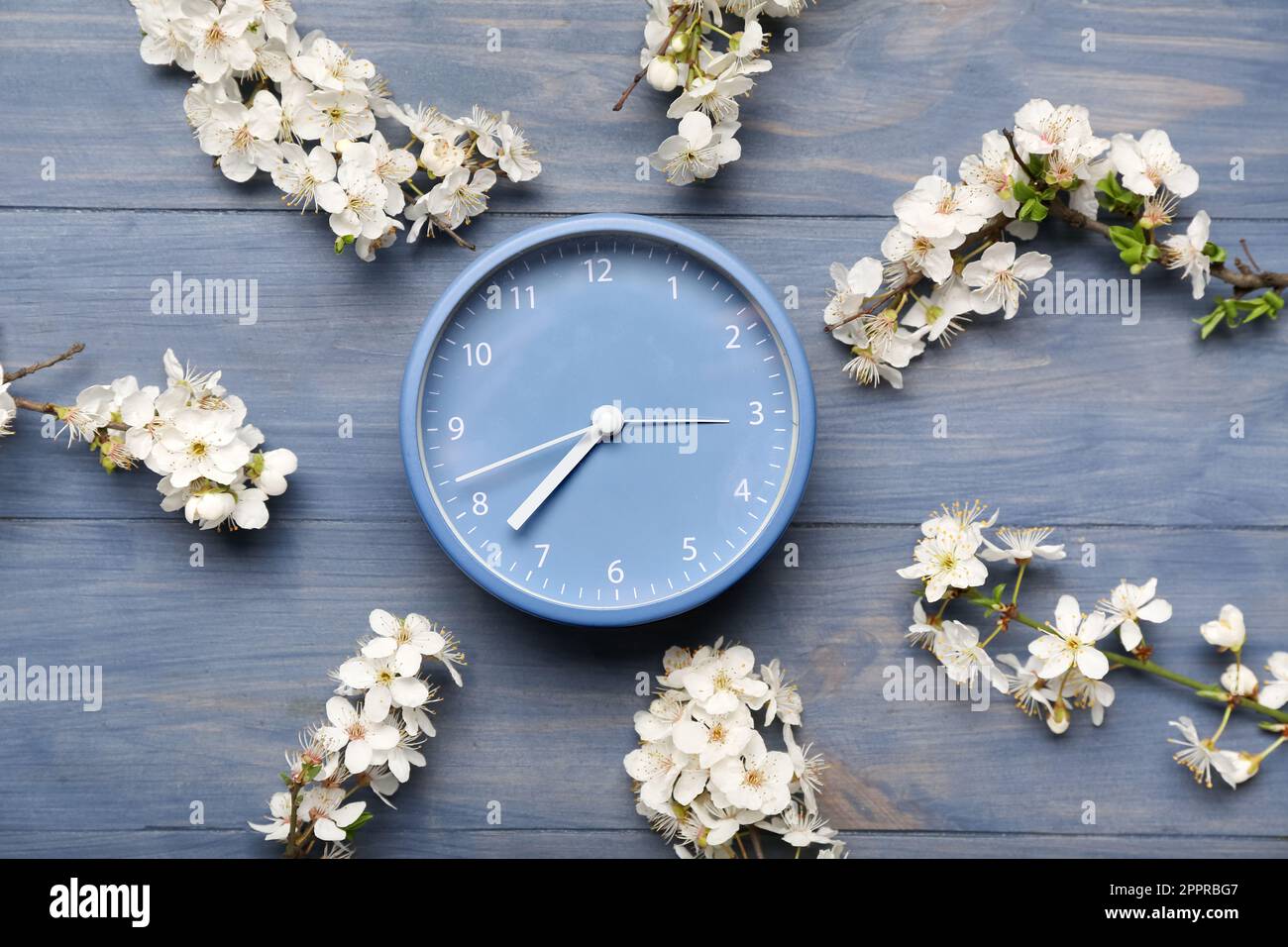 Blooming spring branches and clock on blue wooden background Stock ...