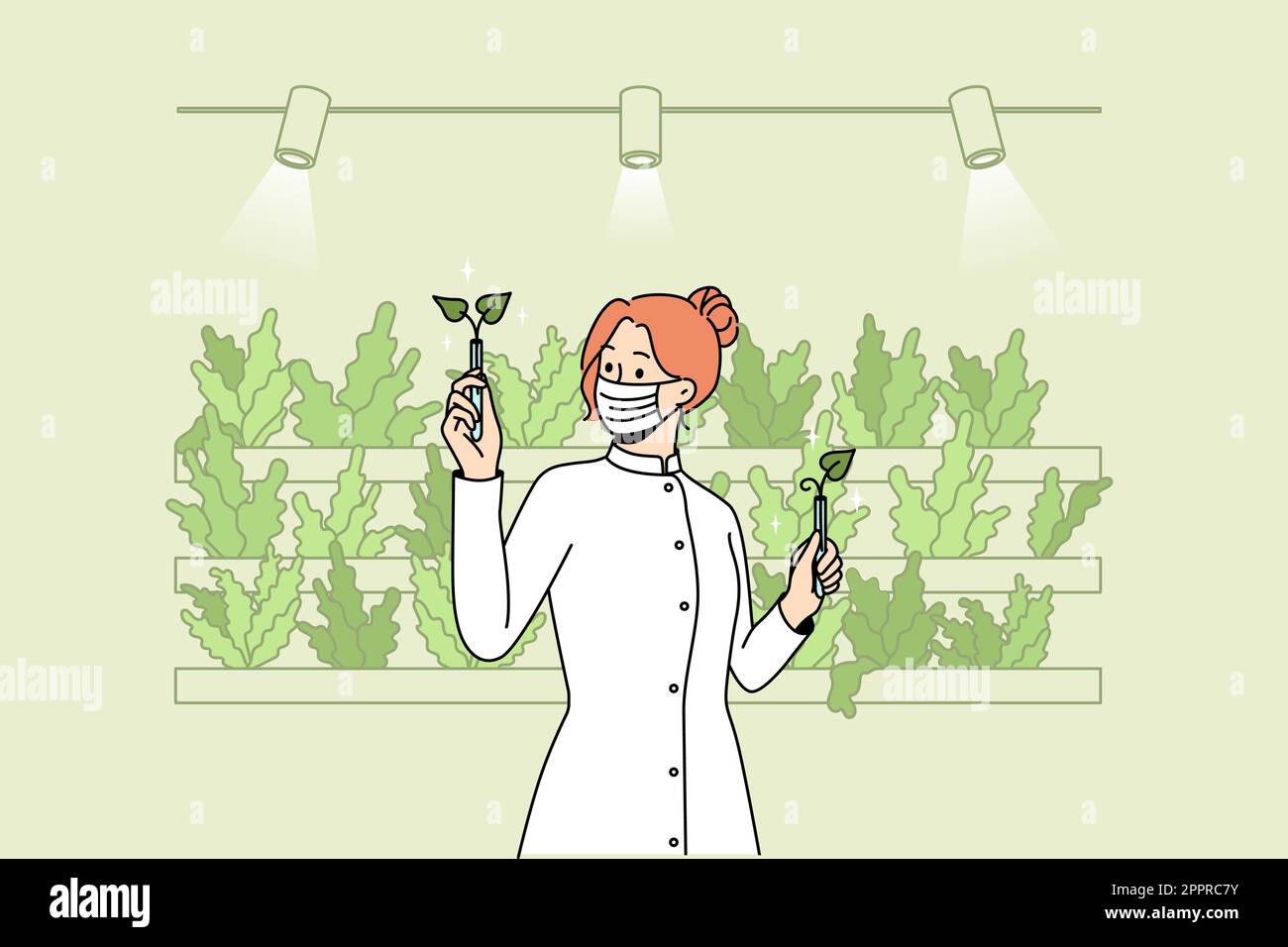 Scientist working with plants in greenhouse Stock Vector