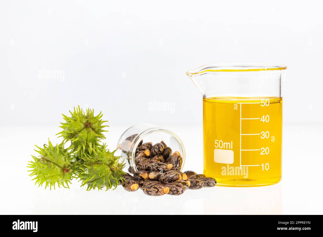 Ricinus communis seeds - Oil in laboratory container Stock Photo