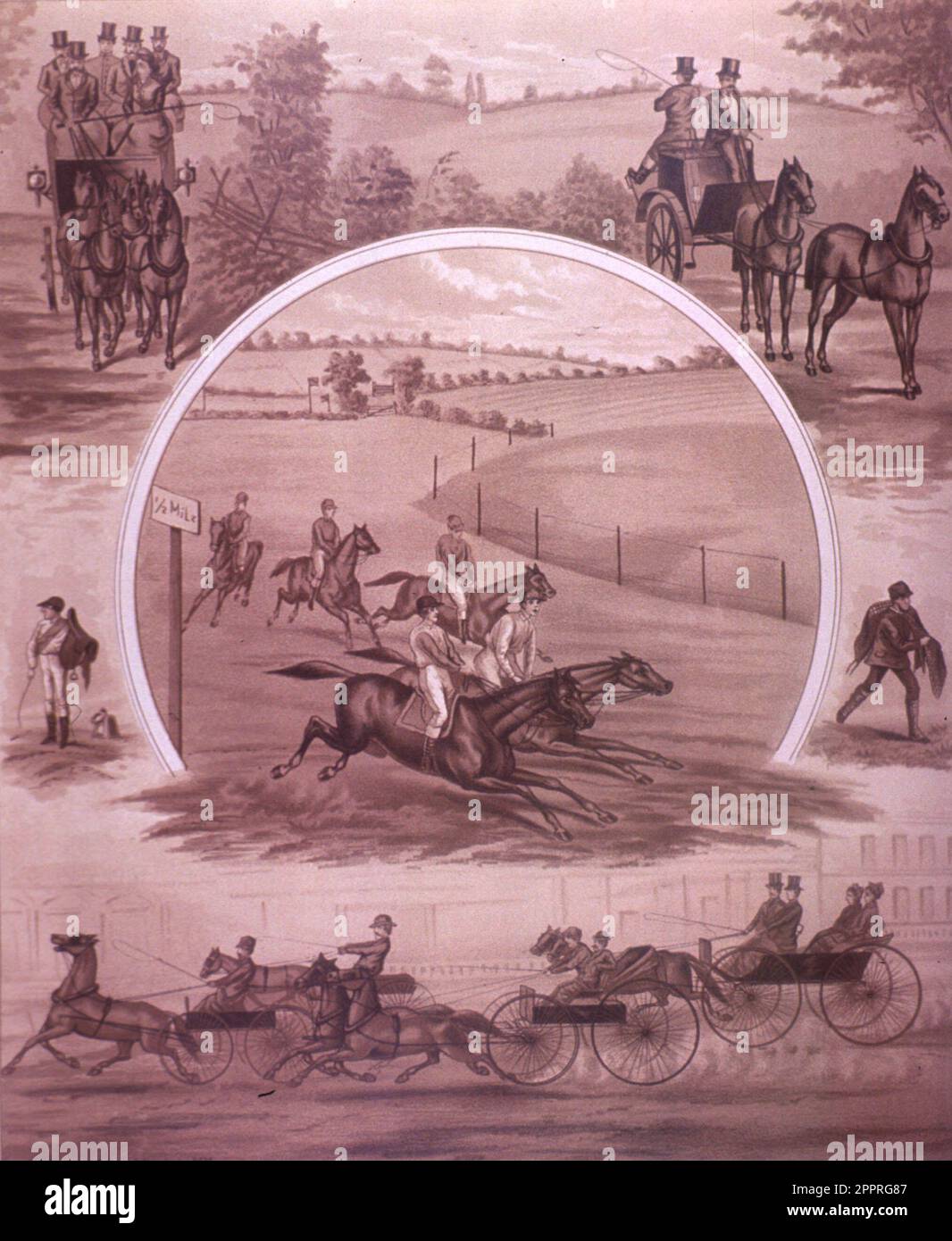 Venues for Horses Stock Photo Alamy