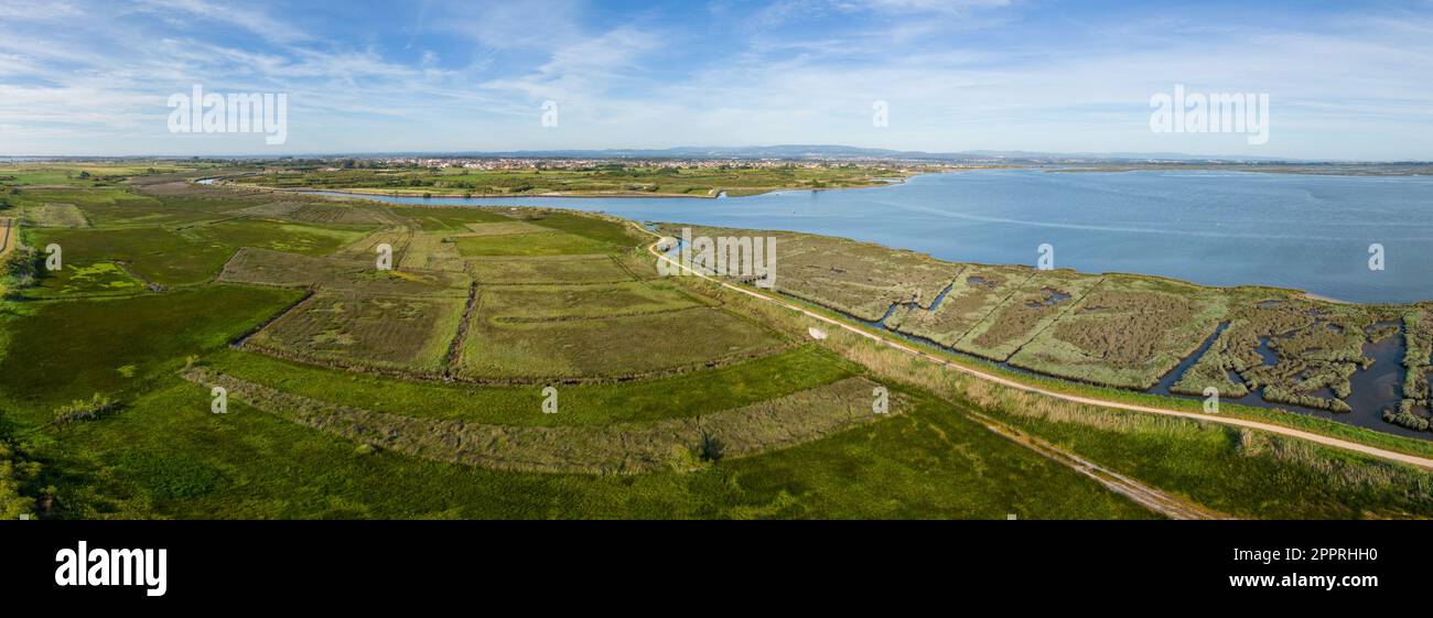 Aerial view of the cultivated fields of the estuary in Murtosa, Aveiro