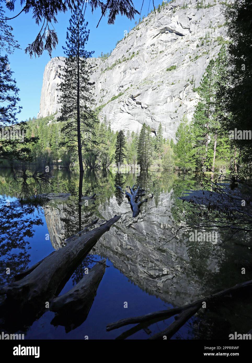 On Mirror Lake vertical - Yosemite National Park, California Stock Photo