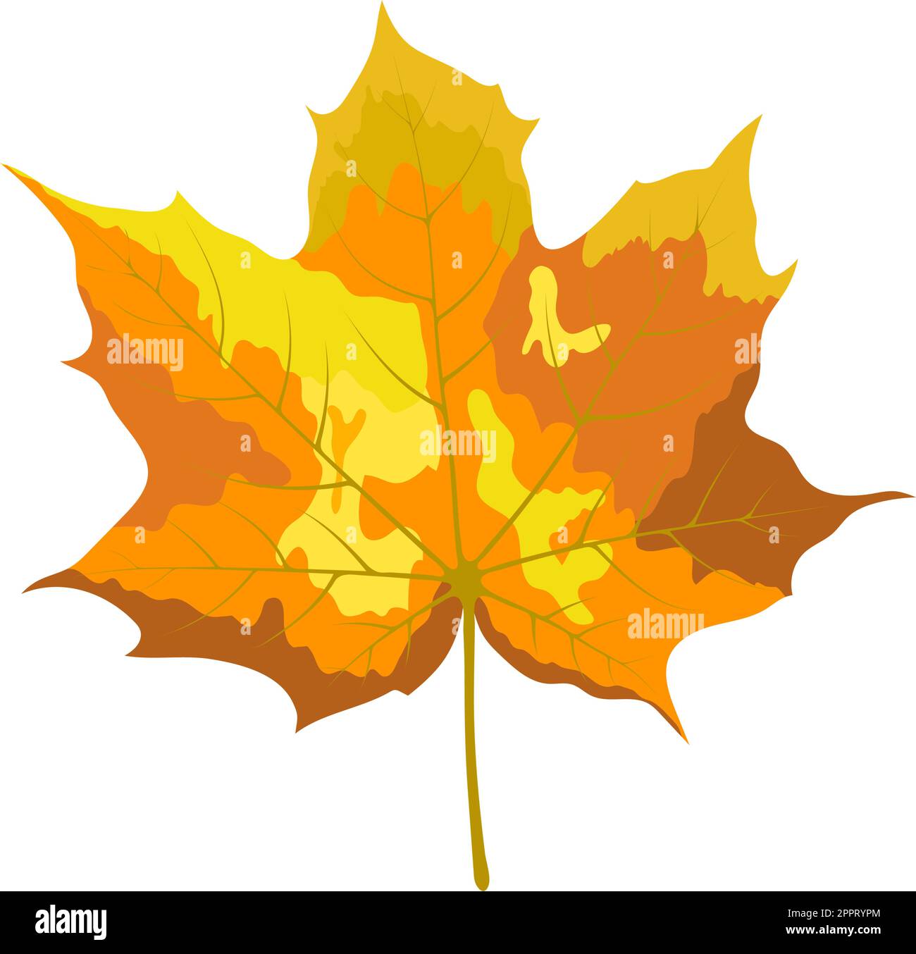 Autumn Maple Leaf Stock Vector Image & Art - Alamy