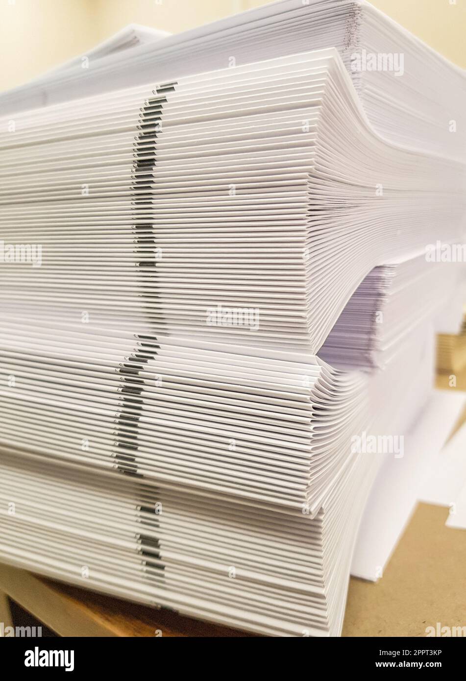 A stack of blank paper, book blocks prepared for binding in a printing ...