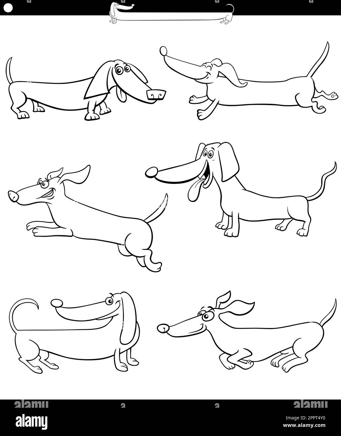 Cartoon Dachshunds Purebred Dogs Set Coloring Page Stock Vector Image 