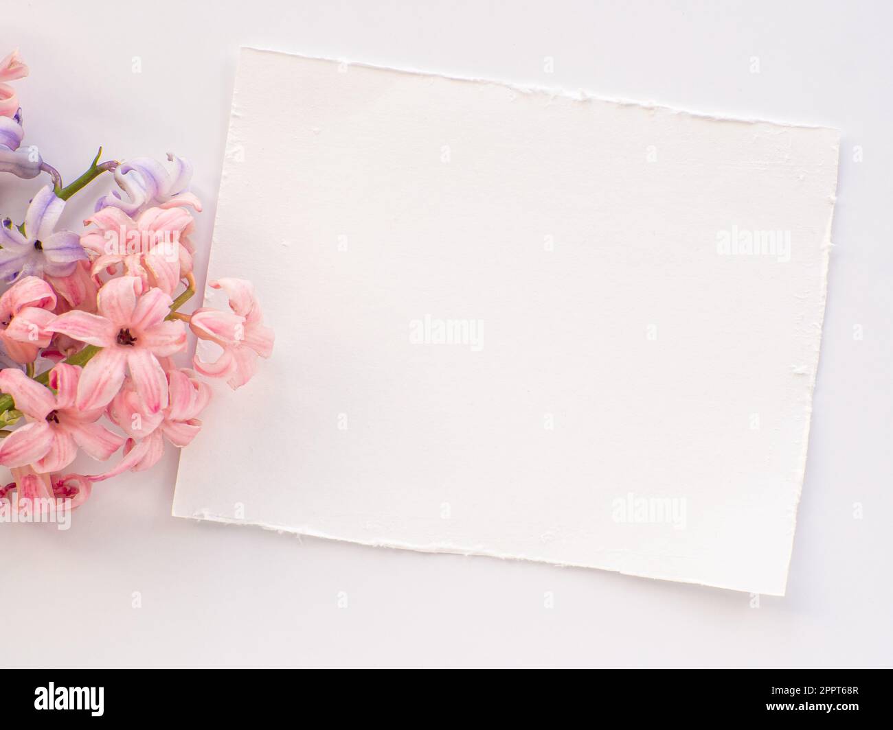 Happy birthday card pink flowers hi-res stock photography and images