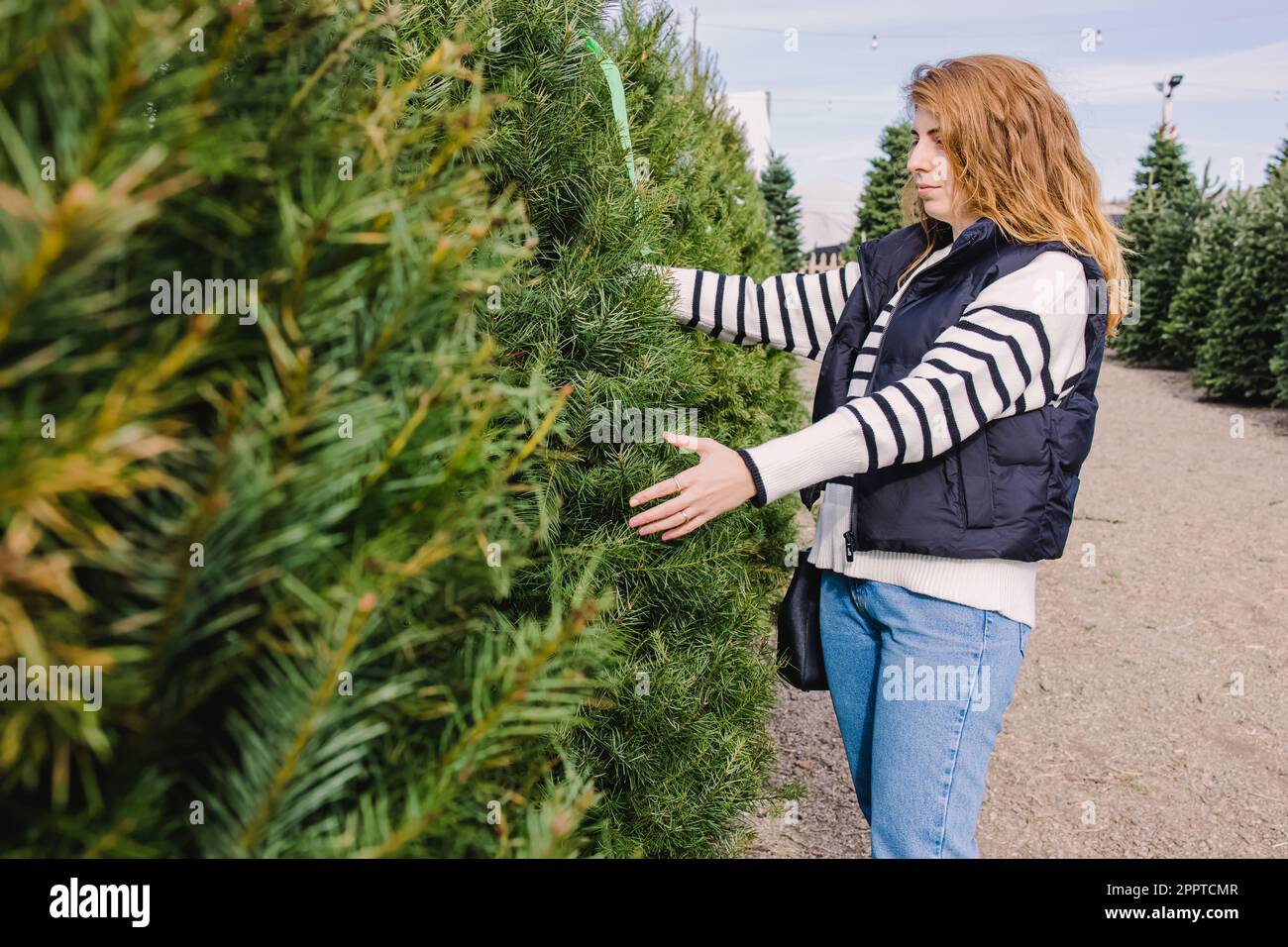Woman choosing christmas tree hi-res stock photography and images - Alamy