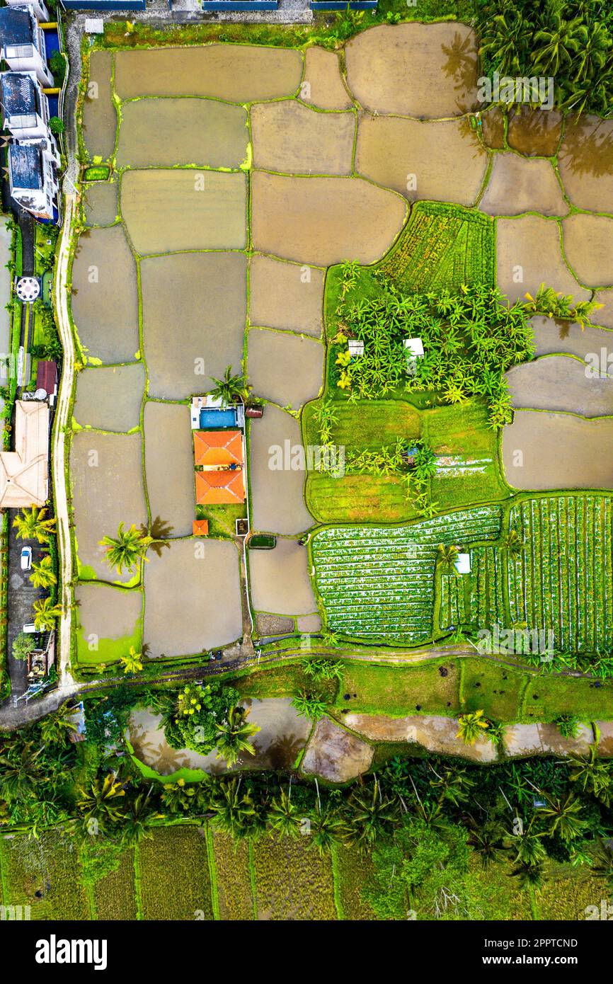 Ubud retreat house hi-res stock photography and images - Alamy