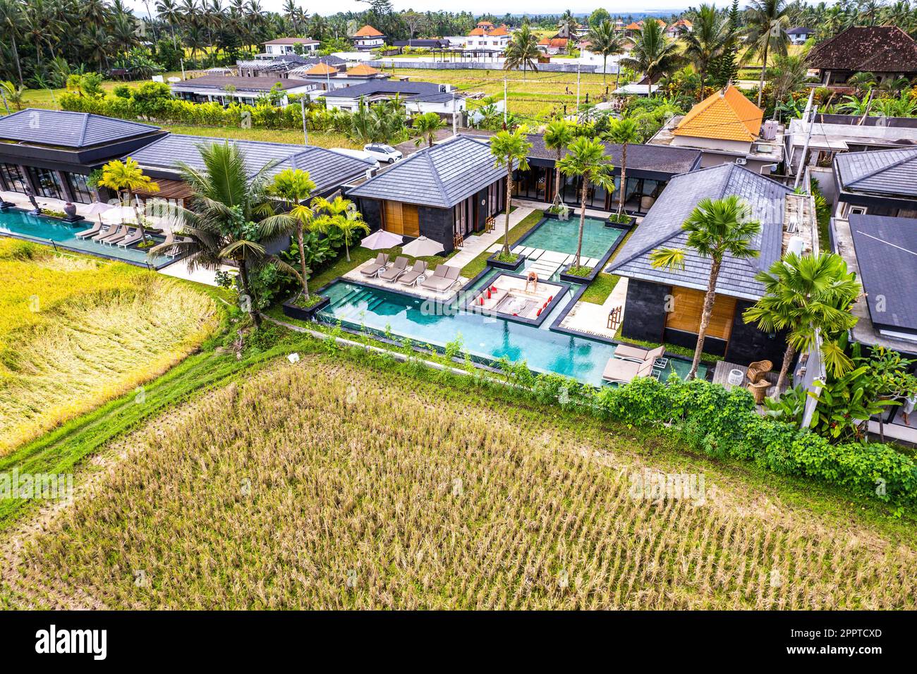 Ubud jungle aerial hi-res stock photography and images - Alamy