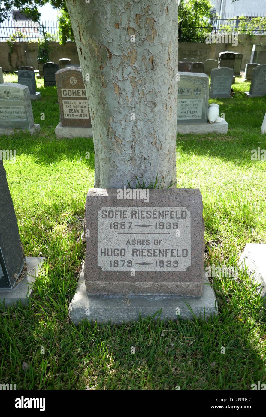 Los Angeles, California, USA 20th April 2023 Conductor Hugo Riesenfeld