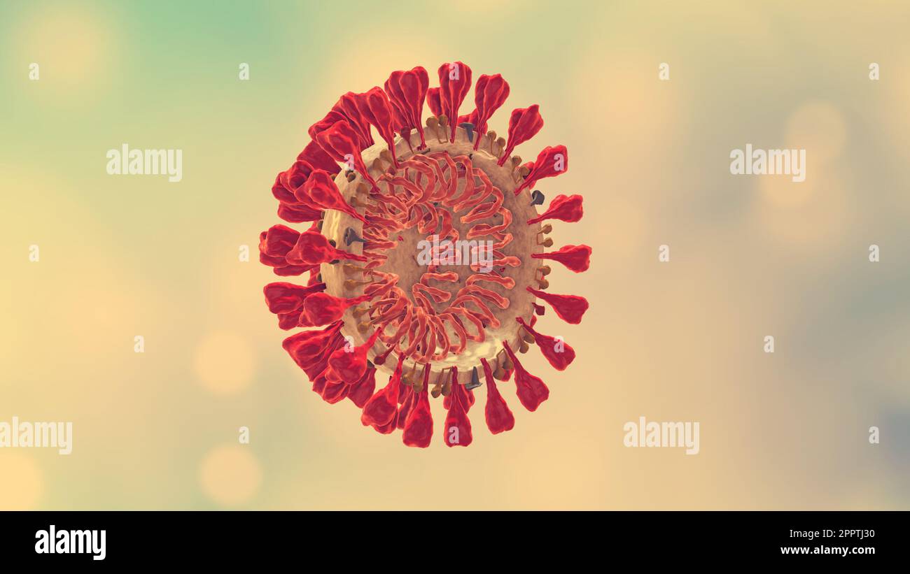 Coronavirus, SARS-CoV-2, 2019 nCoV virus Particles. Virus structure with protein insides membrane Stock Photo