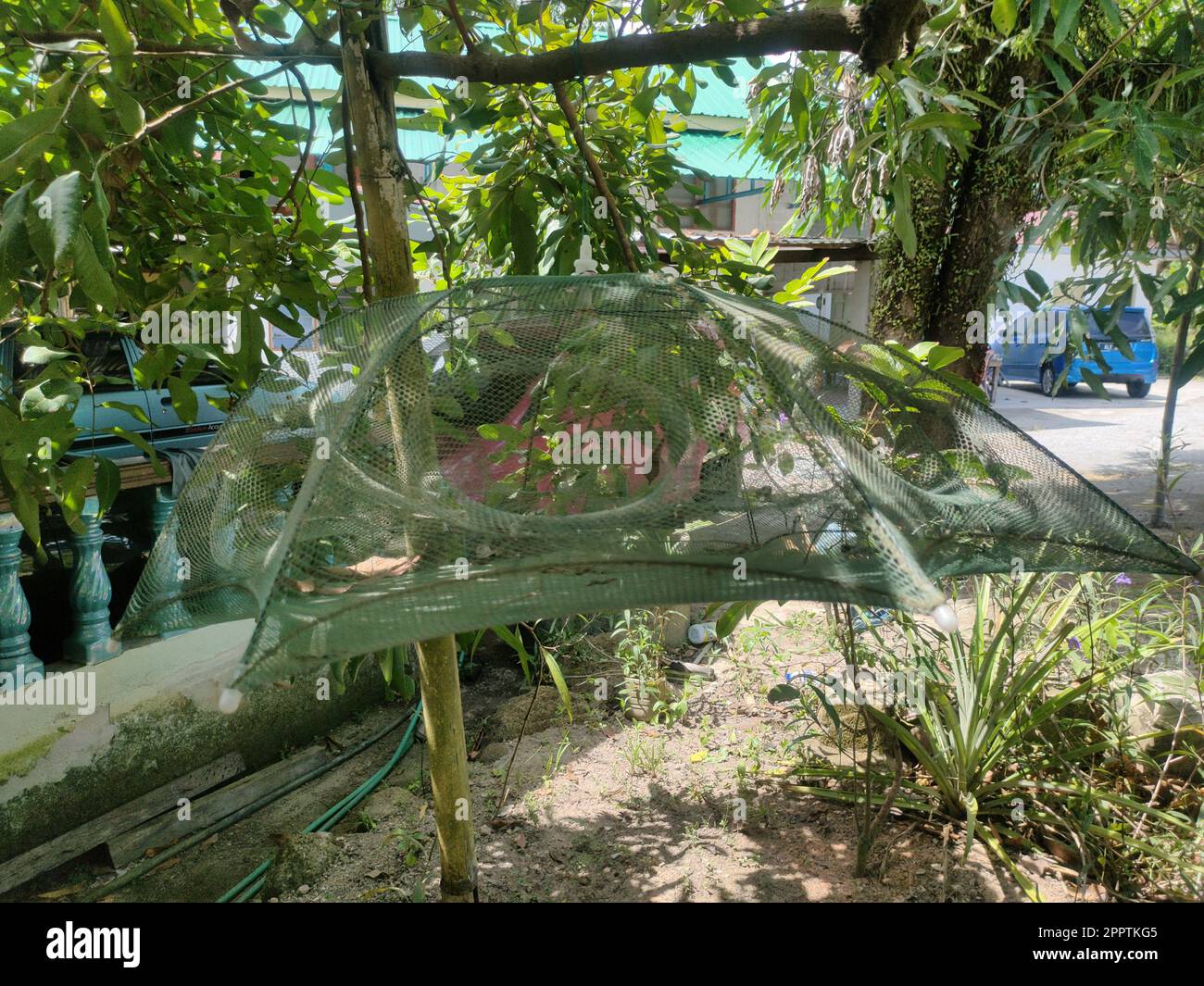 Malaysia, 25 May 2022: Cages for fishing in paddy fields. Stock Photo
