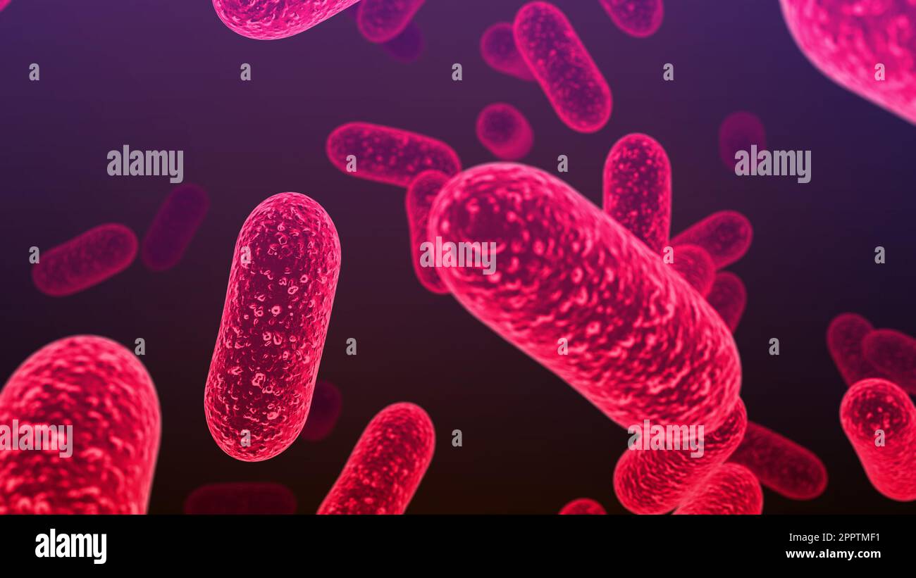 Salmonella bacteria. S. typhi, S. typhimurium and other Salmonella, rod-shaped bacteria, the causative agents of enteric typhus and food toxic infecti Stock Photo