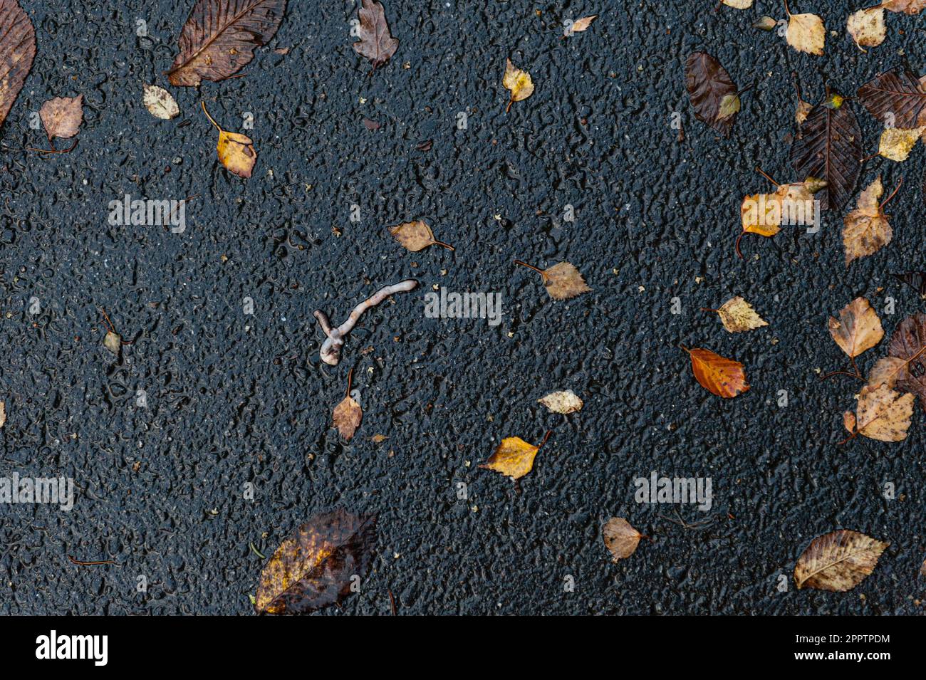 Slow motion track white sand hi-res stock photography and images - Alamy