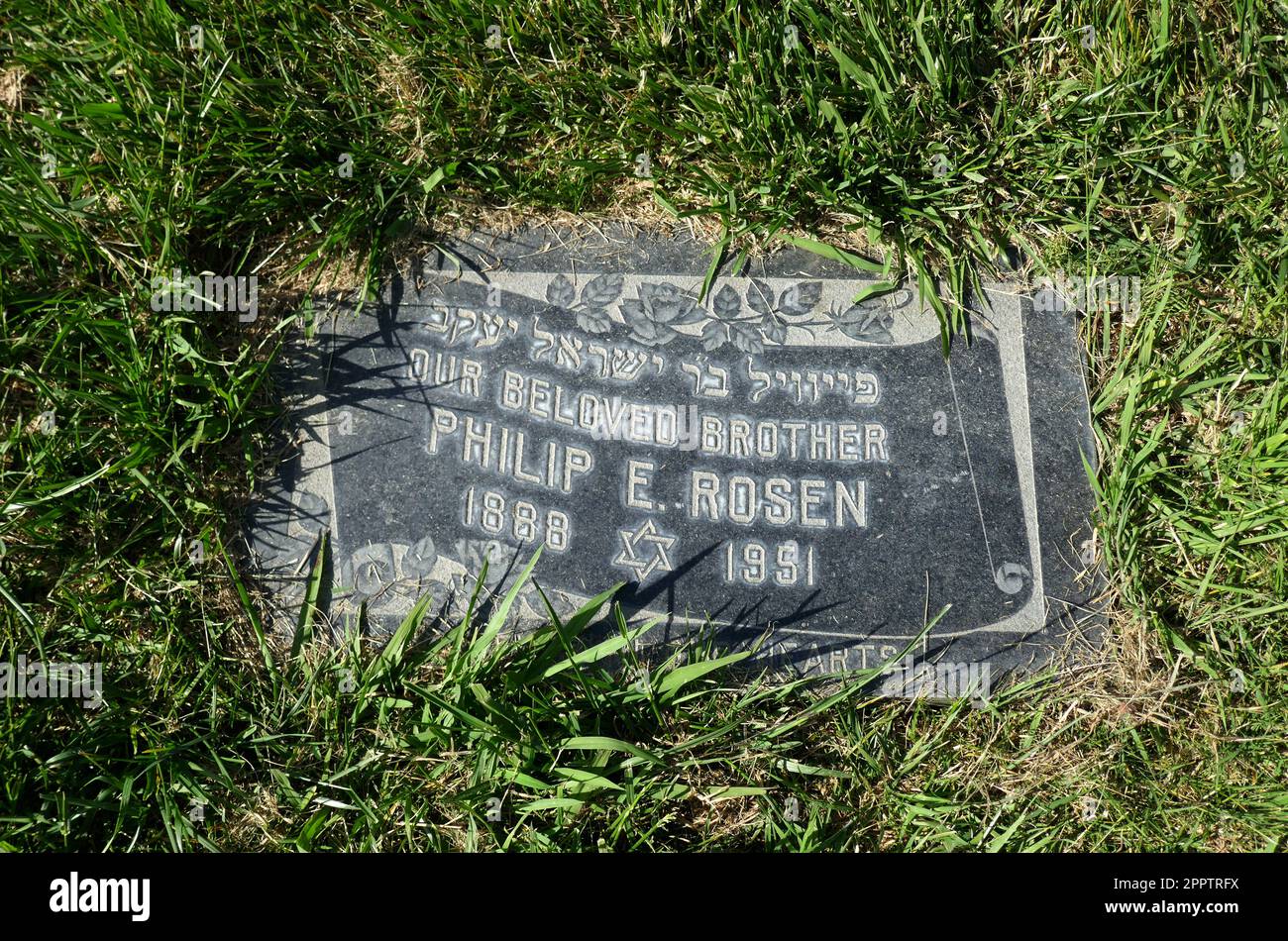 Los Angeles, California, USA 20th April 2023 Director/Cinematographer ...