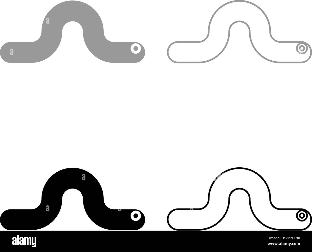 Worm earth earthworm rainworm caterpillar angleworm annelida