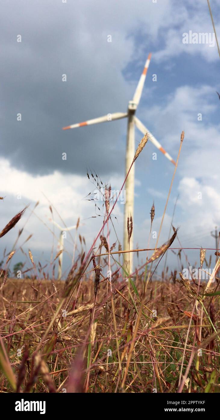 Wind power turbines generating clean renewable energy Stock Photo