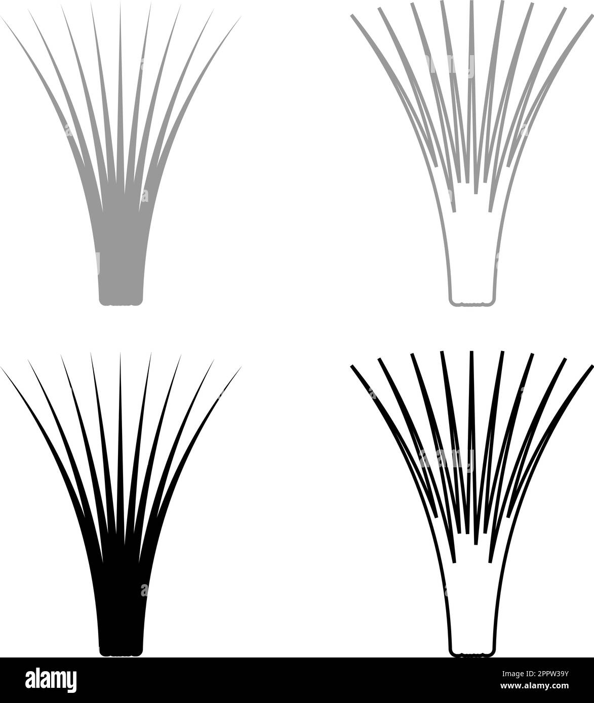 Edible grass lemongrass Cymbopogon citratus spices vegetable herbal plant set icon grey black color vector illustration image solid fill outline contour line thin flat style Stock Vector