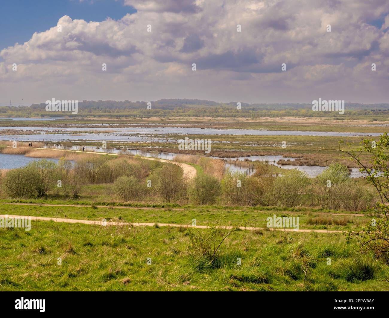 St Aidan's Park grassland and wetland. Leeds. Stock Photo