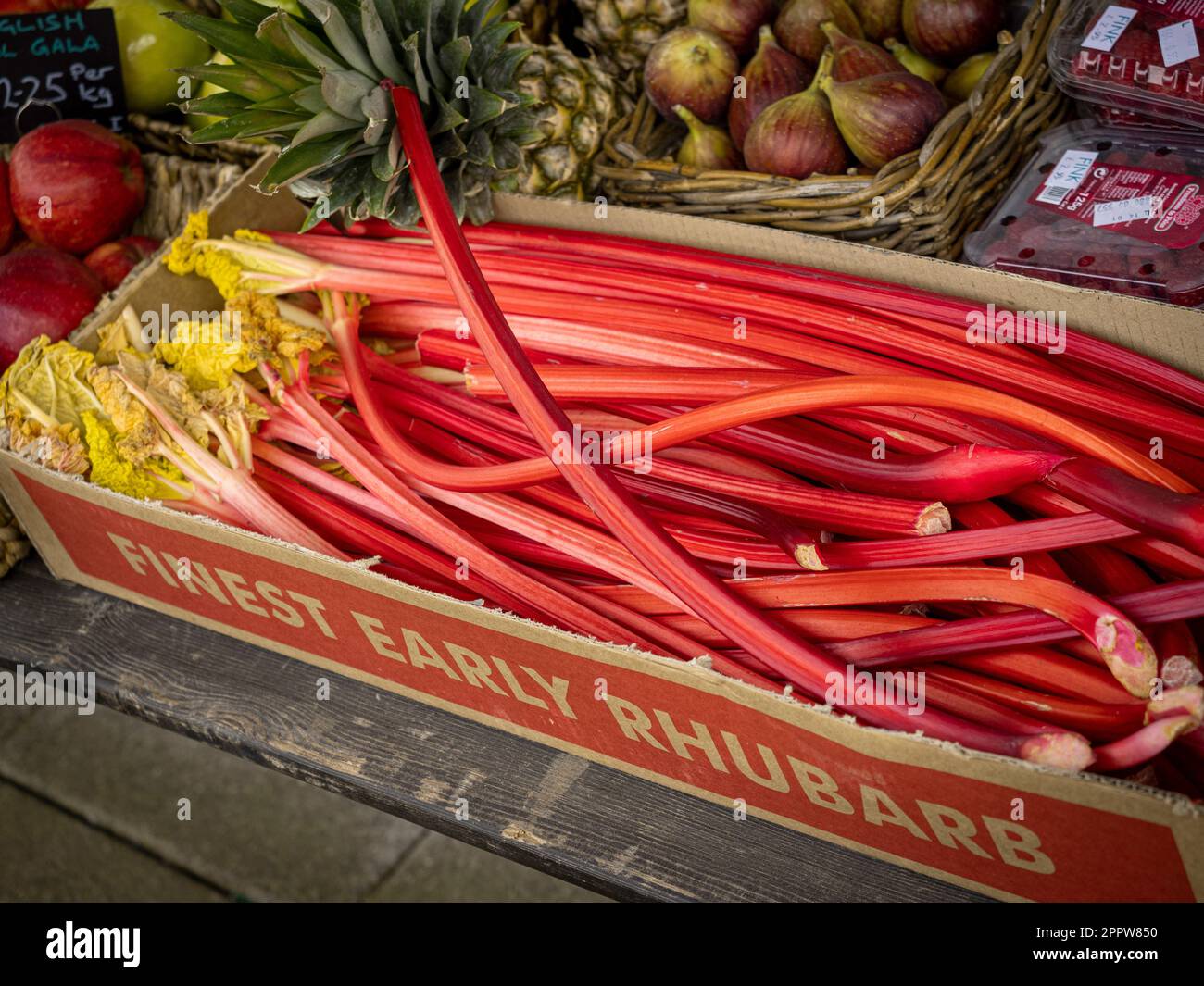 Box of forced rhubarb with its thin red stems, and yellow leaves