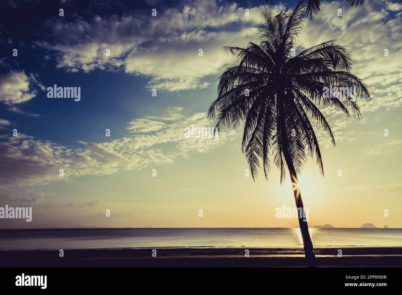 Siluate coconut tree on the beach before sunset background Stock Photo