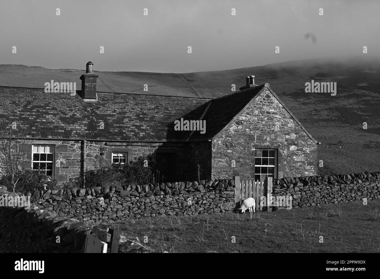 Scottish countryside pictures Stock Photo - Alamy