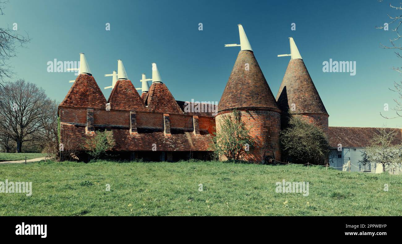 Oast Houses on a Hop farm in Kent England Uk Stock Photo