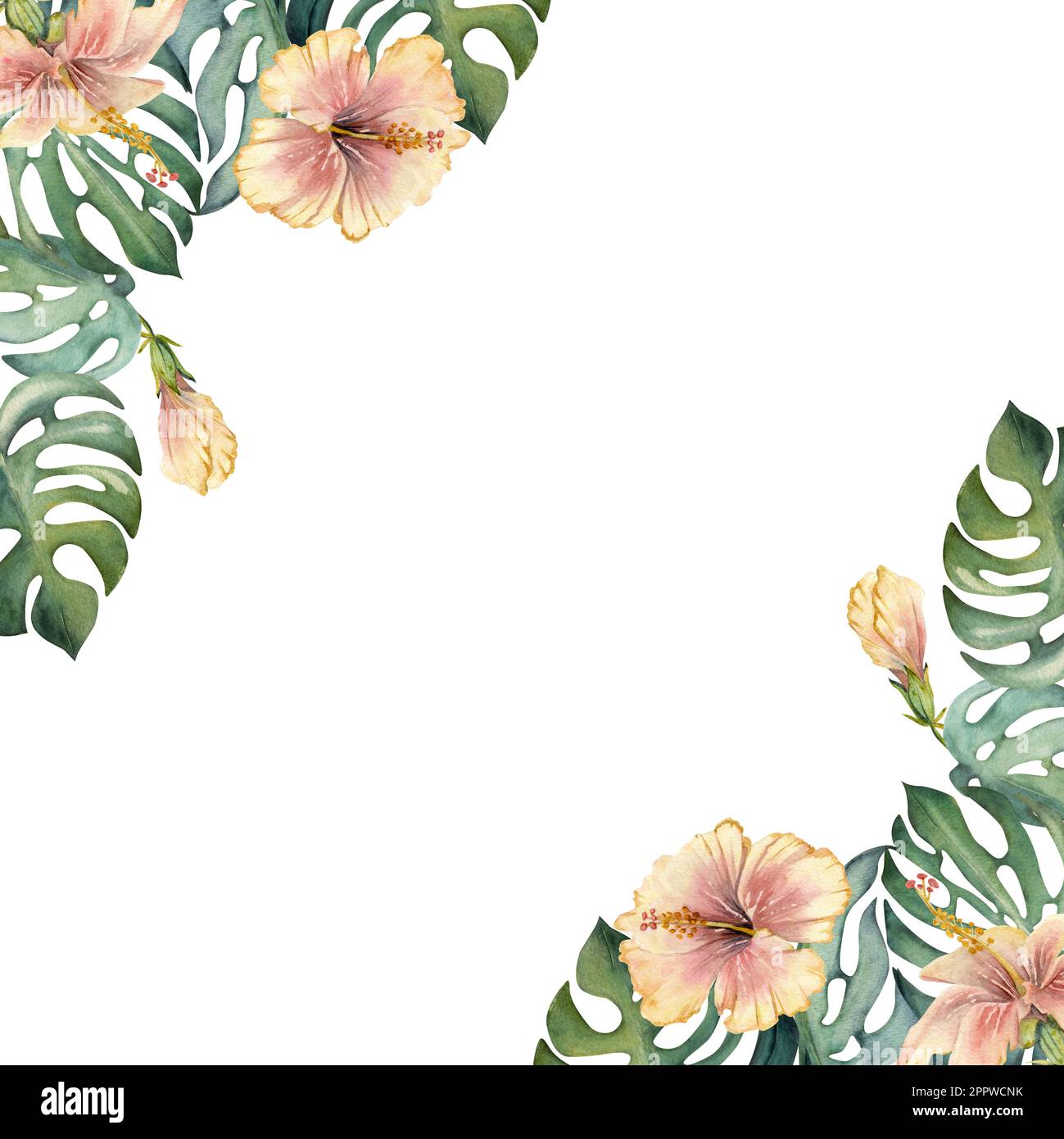 Hand drawn watercolor exotic monstera leaves and hibiscus flowers ...