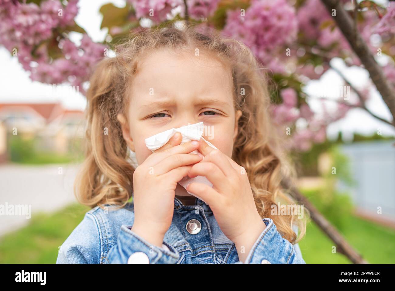 The child wipes his nose with a napkin Stock Photo Alamy