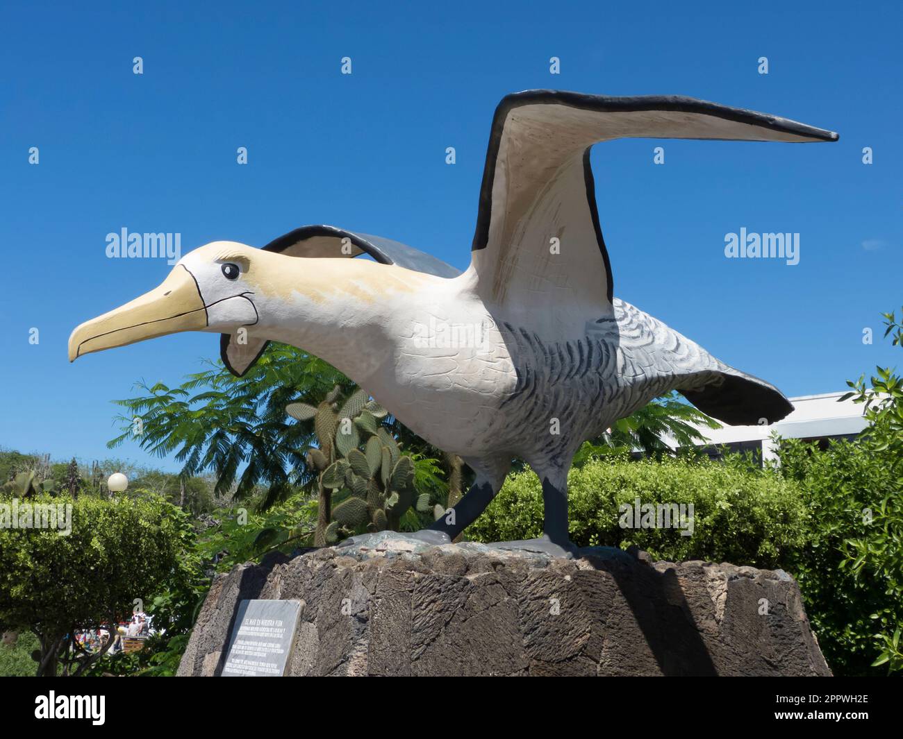 Waved albatross sculpture in Puerto Ayora, Isla Santa Cruz, Galapagos  Islands, Ecuador Stock Photo - Alamy