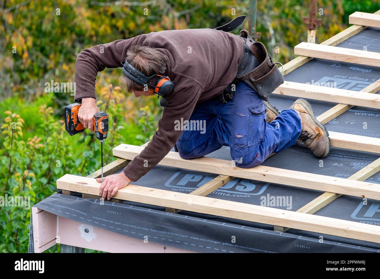 Tradesman fastening timber roof battens over insulation on a home renovation Stock Photo
