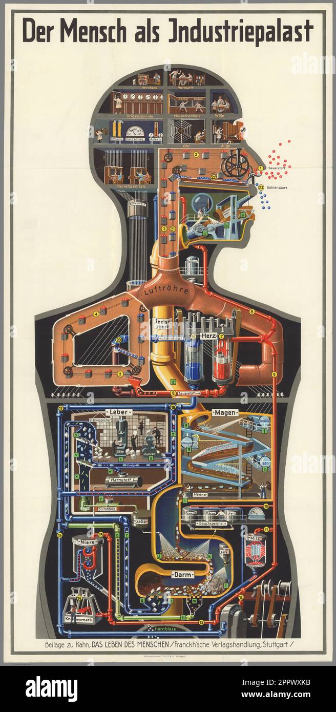 Der Mensch Als Industrielpalast (Man As Industrial Palace) by Fritz Kahn, Publication date 1926 human body as interpreted through info graphics - the body as a machine. The book illustrates the body's different functions through images of technical processes. Stock Photo