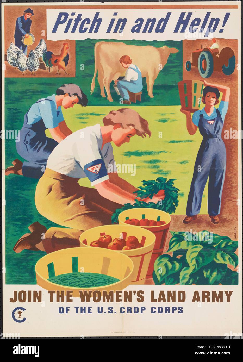Pitch in and help! join the Women's Land Army of the U.S. Crop Corps by Morley, Hubert Publication date 1944 Stock Photo