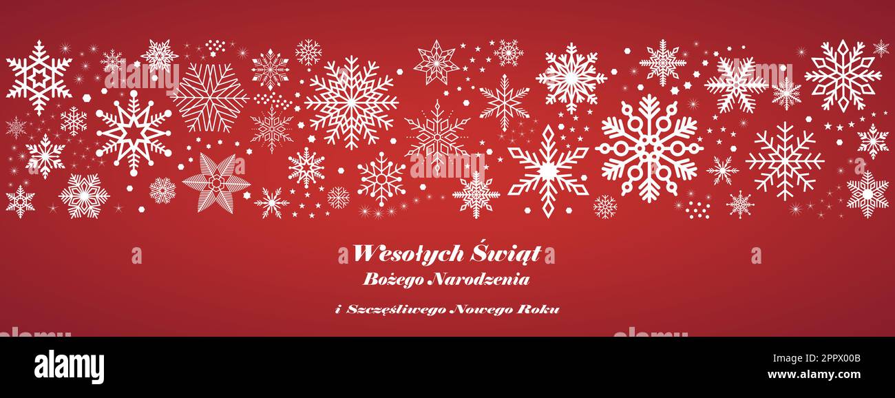 Merry Christmas and Happy New year vector greeting in Polish language ...