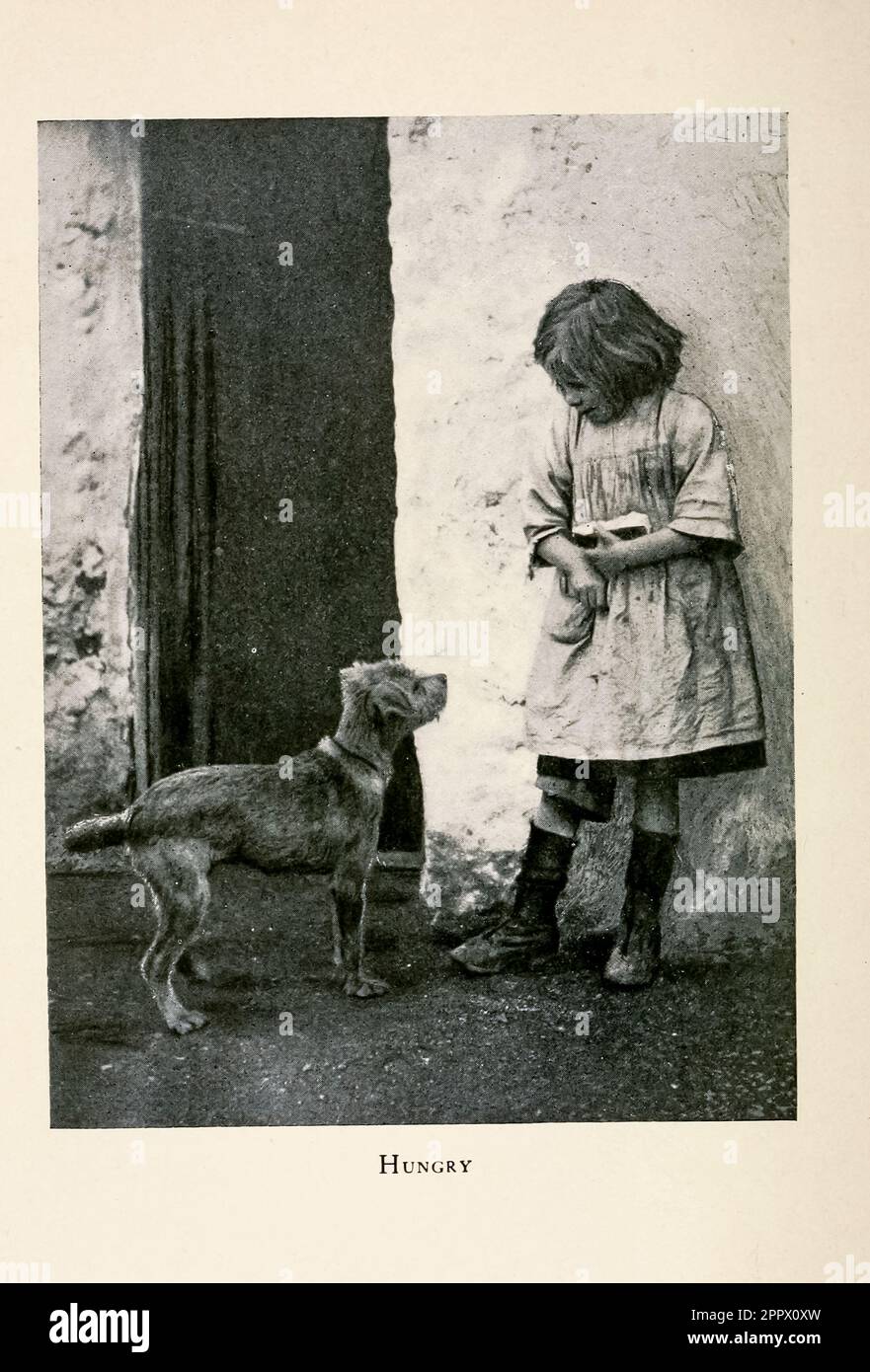 Hungry photograph from the book ' The Isle of the shamrock ' by Clifton Johnson, 1865-1940 Publication date 1901  Publisher New York, Macmillan; London, Macmillan Stock Photo