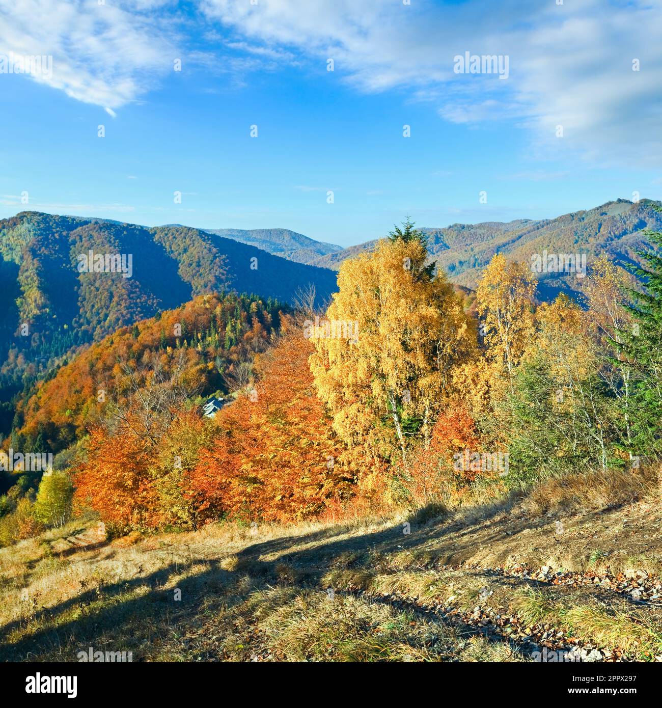 Autumn  mountain Nimchich pass (Carpathian, Ukraine) and country road on hill. Stock Photo
