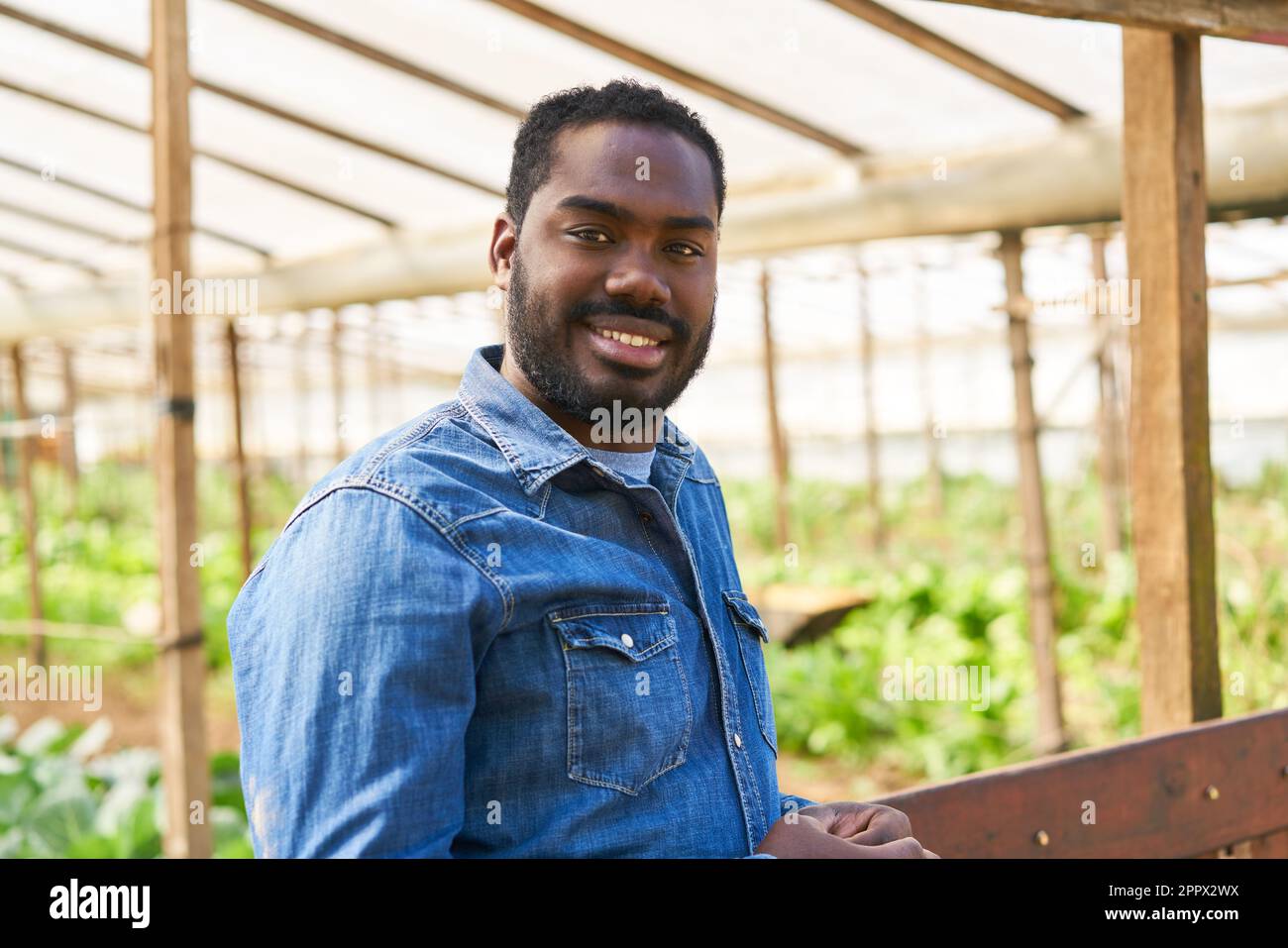 Mature man garden fence hi-res stock photography and images - Alamy