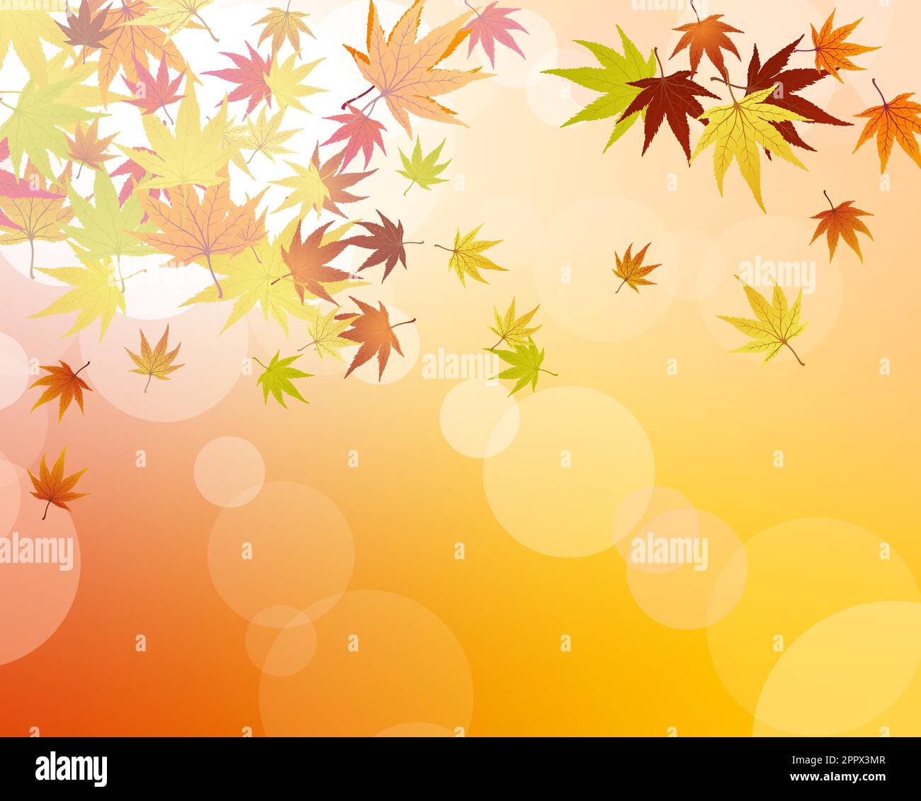 Autumn Leaves Border Stock Vector Image & Art - Alamy
