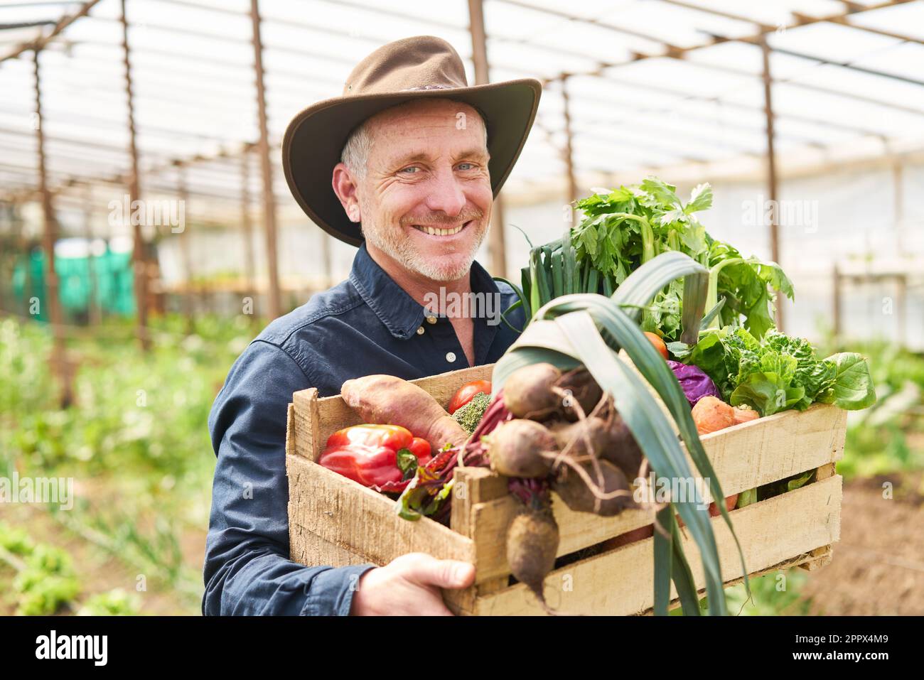 Happy former holding wooden crate full of fresh organic vegetables on ...