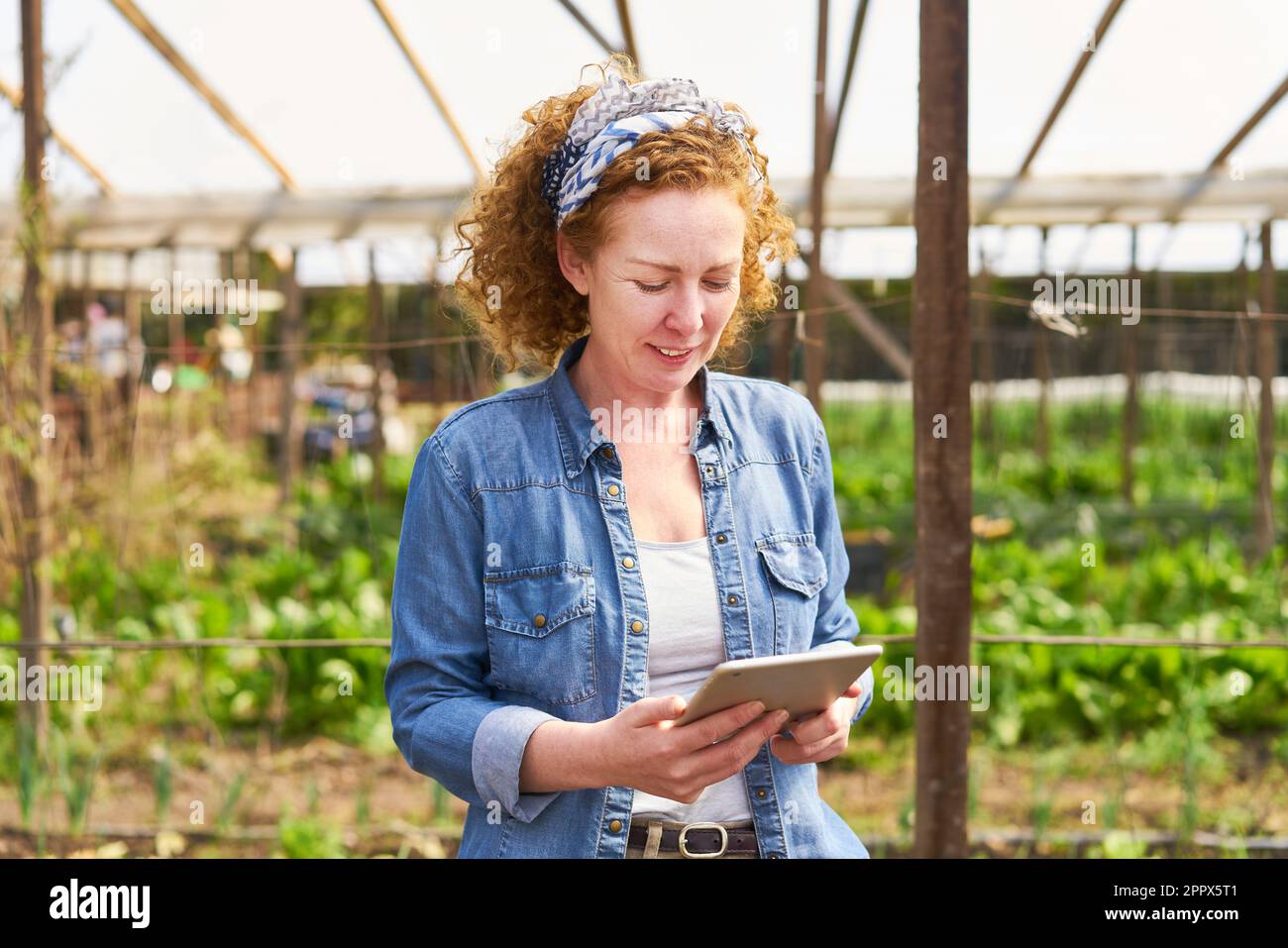 Blond female farmer using tablet PC while standing at farm Stock Photo