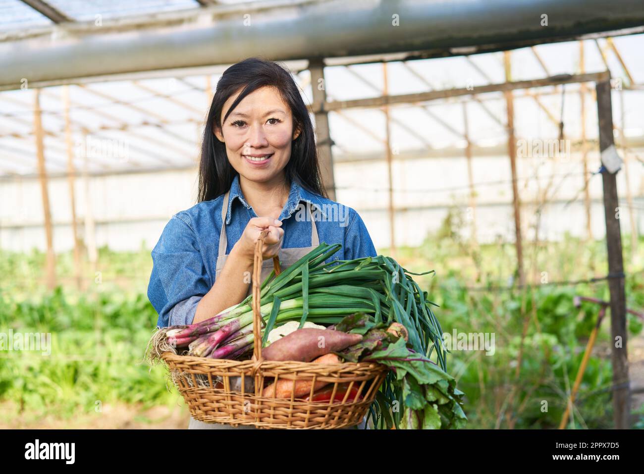 Portrait of happy female farmer holding different vegetables in basket ...