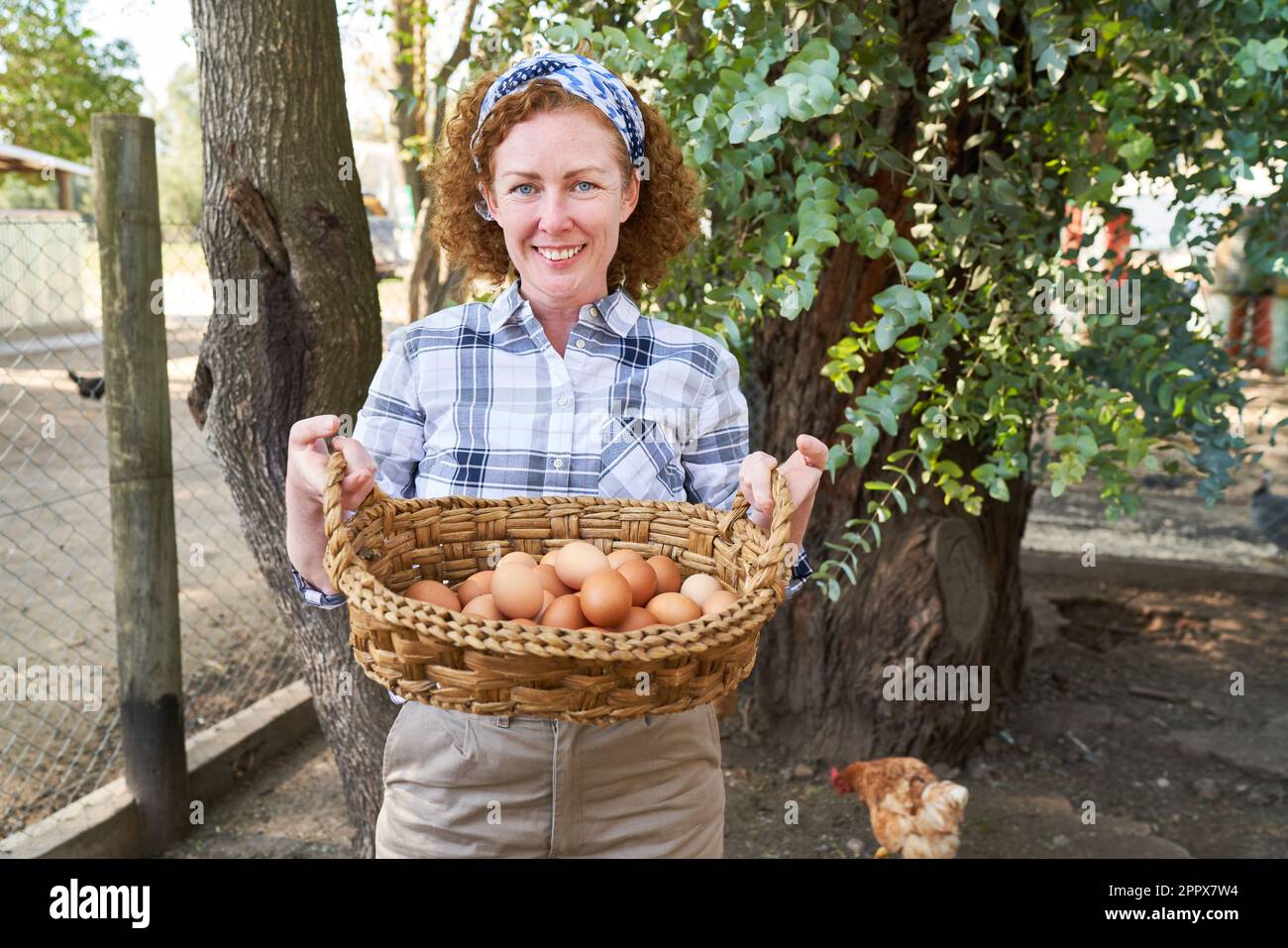 Portrait of smiling mature female farmer carrying wicker basket with brown eggs at poultry farm Stock Photo