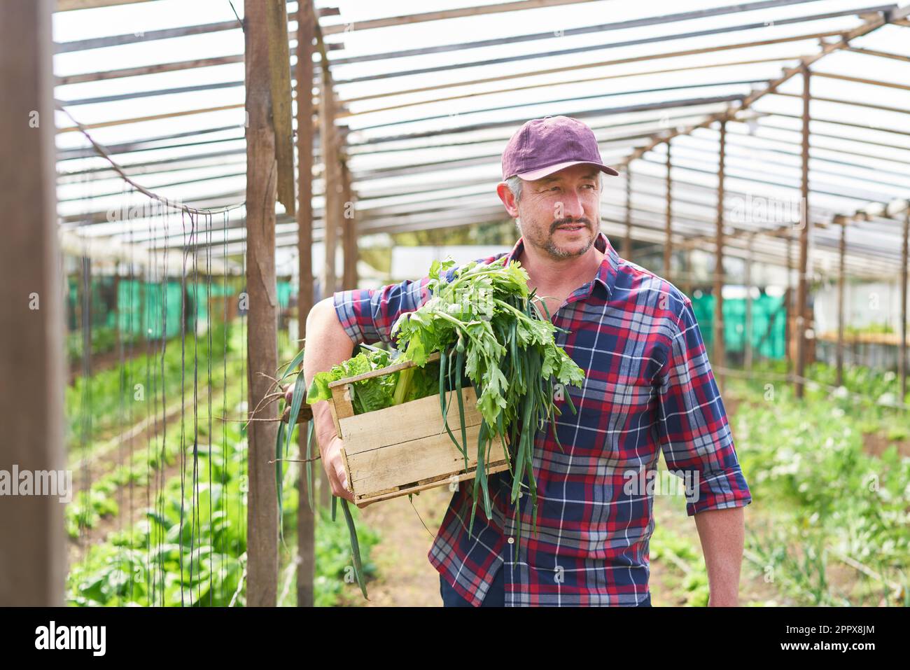 Farmer wearing cap hi-res stock photography and images - Alamy