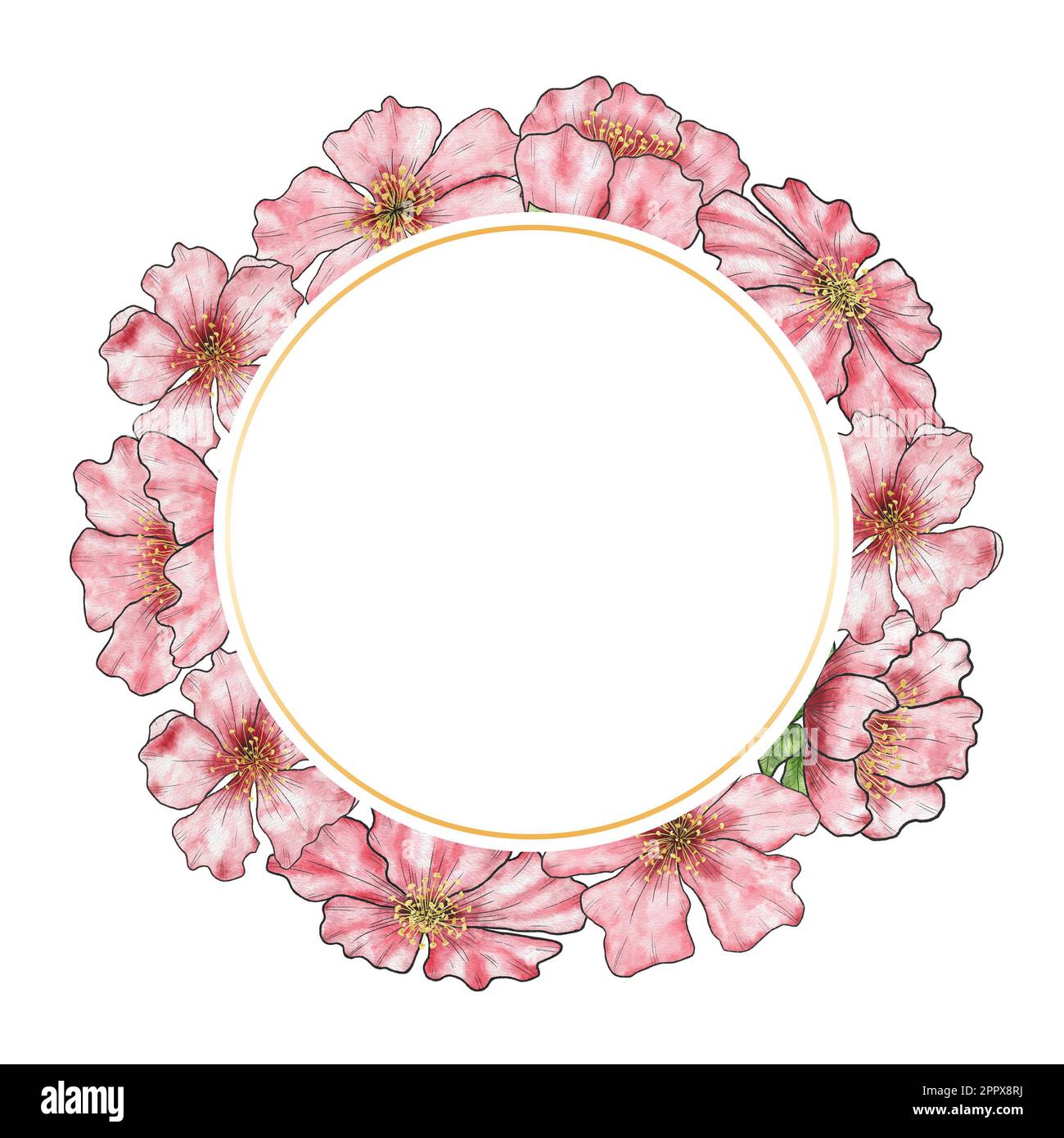 cherry-blossom-invitation-card-banner-with-watercolor-pink-cherry-blossoms-blank-template-hand-drawing-round-frame-with-flowers-stock-photo-alamy for Free Printable Cherry Blossom Template Cherry blossom. Invitation, card, banner with watercolor pink cherry blossoms. Blank template. Hand drawing. Round frame with flowers Stock Photo - Alamy for Free Printable Cherry Blossom Template
