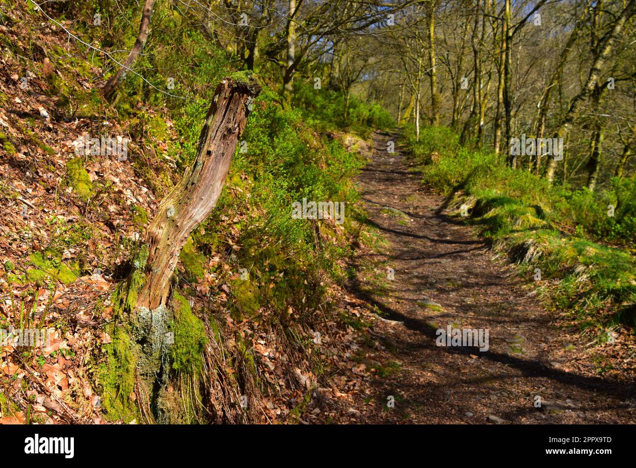 Jumble Hole Clough, Hebden Bridge, Calderdale, West Yorkshire Stock