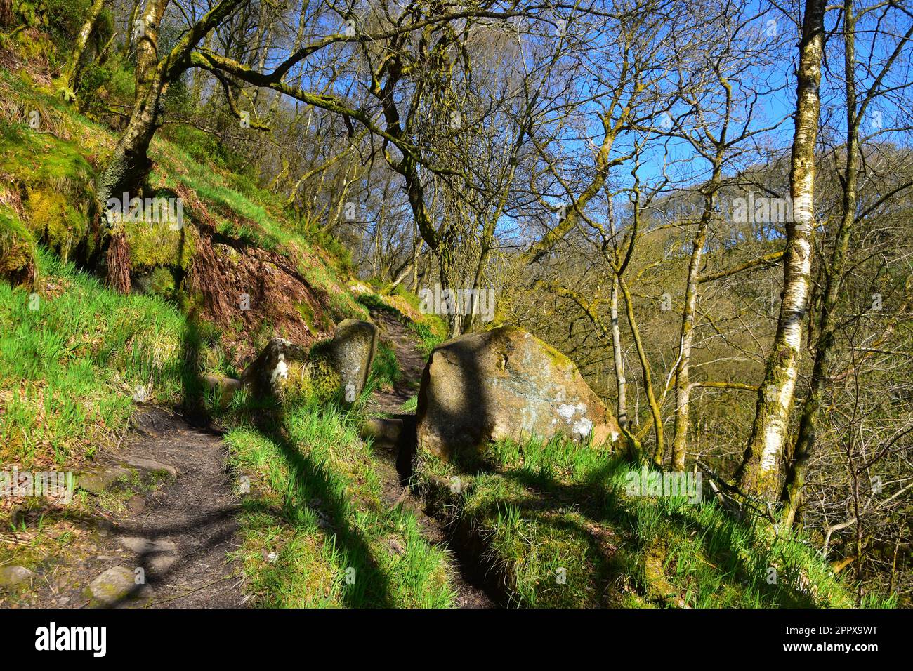 Jumble trail hires stock photography and images Alamy
